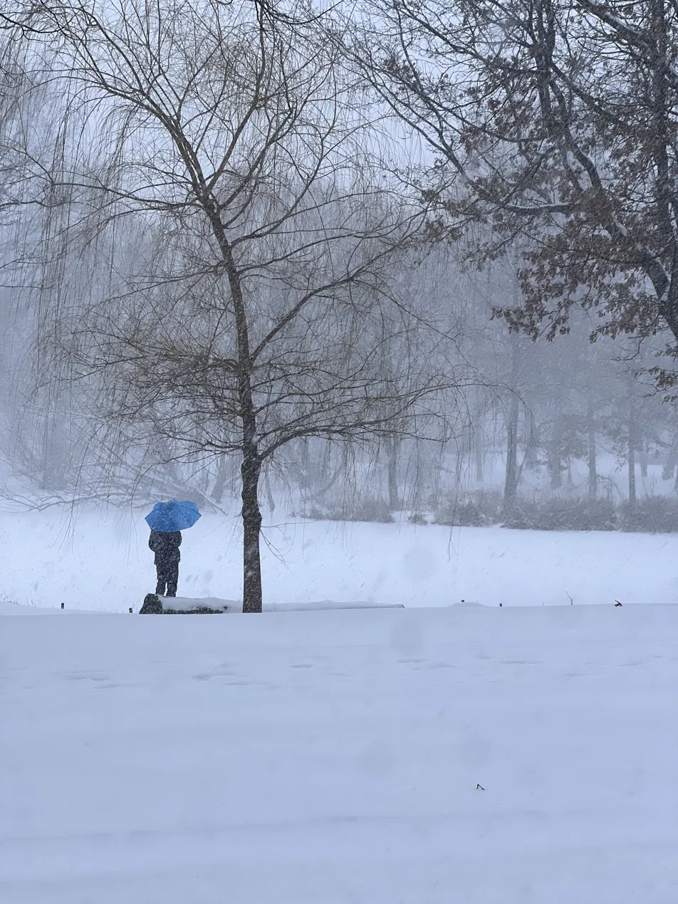 Blue umbrella in snowstorm
